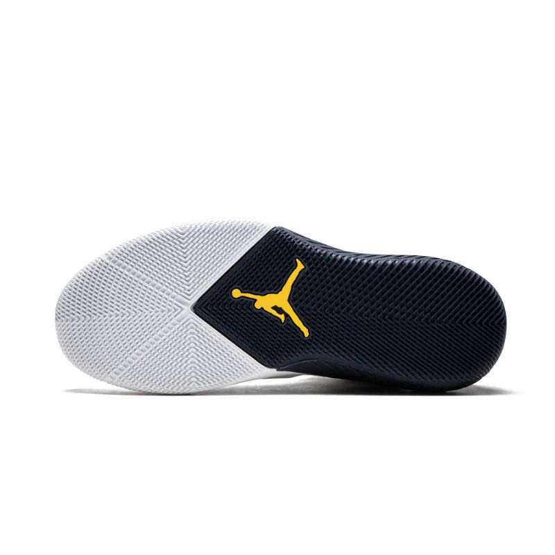 Férfiak / Nők Air Jordan 31 Why Not Zero.1 Michigan Pe