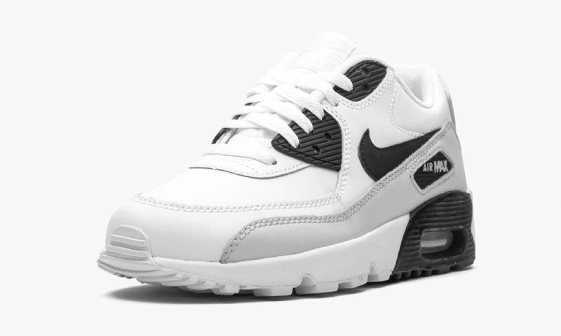 Nike Air Max 90 Ltr Férfi / Női Alkalmi Fehér / Fekete / Tiszta Platina