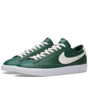 Nike Blazer Alacsony Bőr Férfi/női Futó Luc Vitorlás Gumibarna